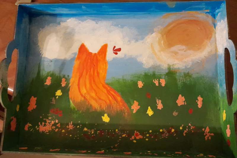 Gata en campo de flores