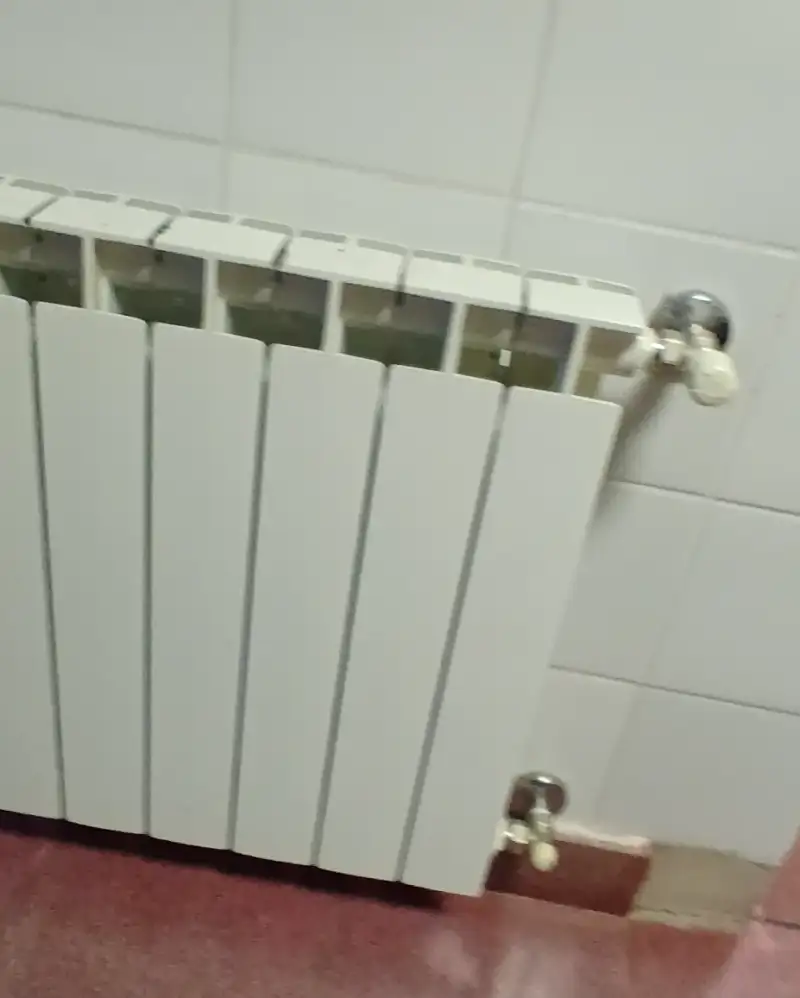 Imagen de la obra